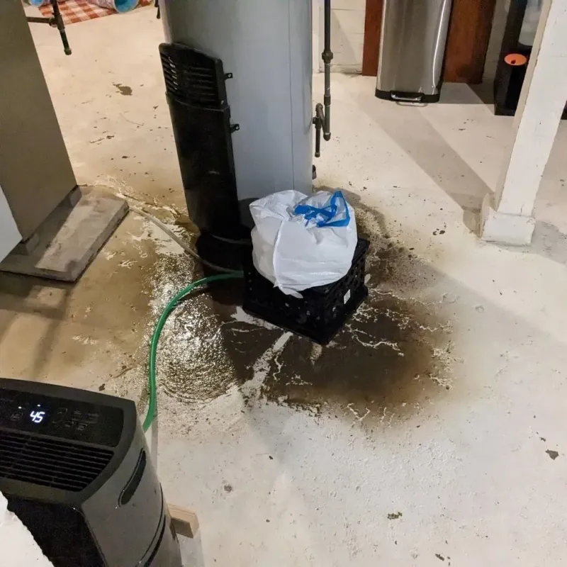 Sewage Backup Cleanup Service in Cripple Creek, CO